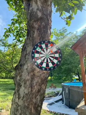 a dart board on a tree in a tree at Idila pod Rtnjem - Najam cele vikendice sa bazenom in Ilino