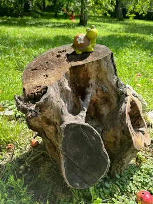 two rubber frogs sitting on top of a tree stump at Idila pod Rtnjem - Najam cele vikendice sa bazenom in Ilino