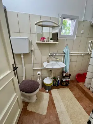 a small bathroom with a toilet and a sink at Idila pod Rtnjem - Najam cele vikendice sa bazenom in Ilino