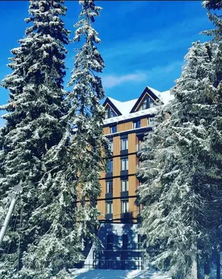 a hotel with snow covered trees in front of it at Woodside Apartment in Kopaonik