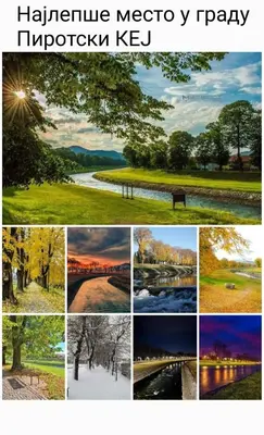 a collage of photos of different types of trees at Black and White in Pirot