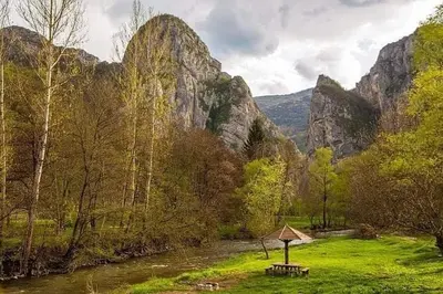 a picnic table in a field next to a river at Black and White in Pirot