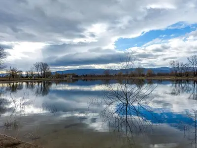 a lake with a tree in the middle of it at Black and White in Pirot