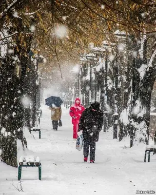 a group of people walking down a sidewalk in the snow at Black and White in Pirot