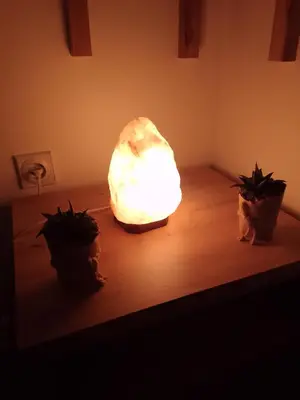 a lit up rock sitting on a table with two plants at Sunflower apartment in Niš