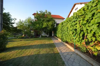 a garden with a hedge of green vines at Studio Petra in Soko Banja