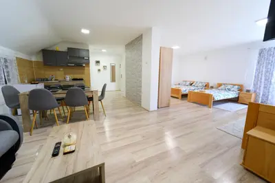 a living room with a kitchen and a dining room at Studio Petra in Soko Banja