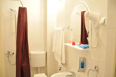 a bathroom with a shower and a toilet and a sink at Royal Apartments in Niš