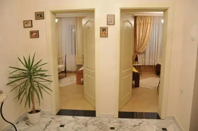 a hallway leading into a living room with a plant at Royal Apartments in Niš