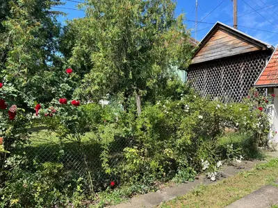 a garden with flowers and a fence and a building at Kobran in Kuršumlija