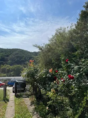 a garden with roses and a fence and a car at Kobran in Kuršumlija
