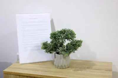 a plant in a vase on a table with a paper at Apartman Luki in Soko Banja
