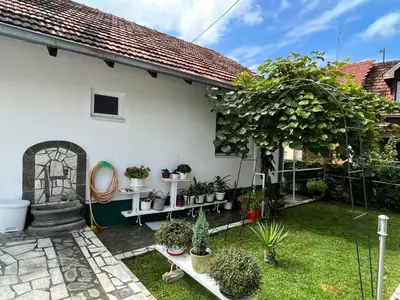 a garden with potted plants and a house at Smeštaj Pejčić in Niška Banja