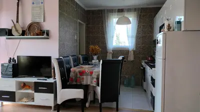 a kitchen with a table with chairs and a refrigerator at Domaćinsvo Stević - Sekurič in Belušić