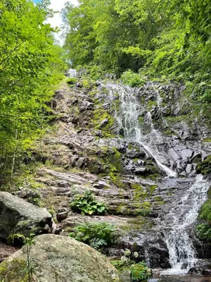 a waterfall on the side of a mountain with trees at Apartman Denčić Zavojsko jezero in Pirot