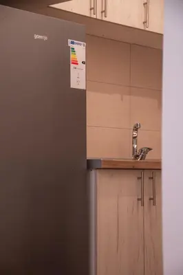 a kitchen with a sink and a refrigerator at Vasilije in Vrnjačka Banja