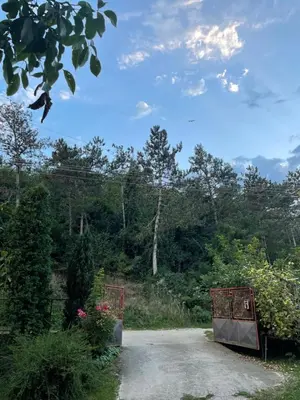a driveway with a gate in a field with trees at IKONIJA guest house in Pečenjevce