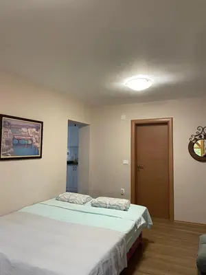 a bedroom with a bed in a room at IKONIJA guest house in Pečenjevce