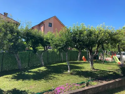 a group of trees in a yard with a fence at Apartmani Vlasina Sokobanja in Soko Banja