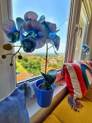a window with a potted plant on a window sill at Apartman Berlin Sokobanja in Soko Banja