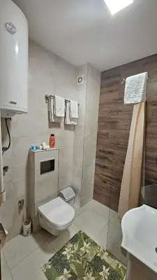 a bathroom with a toilet and a shower at Soko City Center & Parking Free in Soko Banja