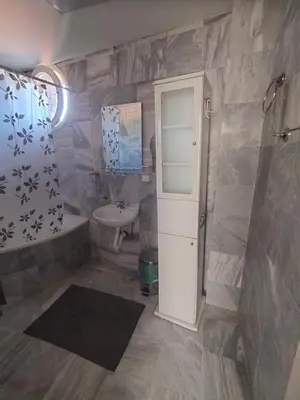 a bathroom with a shower and a sink and a toilet at Villa Ema rooms in Niš