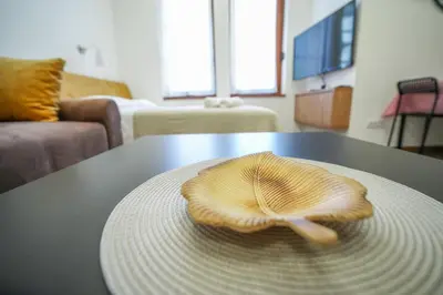 a shell sitting on top of a table at PRENOCISTE SOLE in Vranje