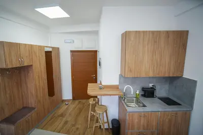 a small kitchen with wooden cabinets and a sink at PRENOCISTE SOLE in Vranje