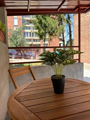 a potted plant sitting on a wooden table on a patio at Boho Apartment in Niš