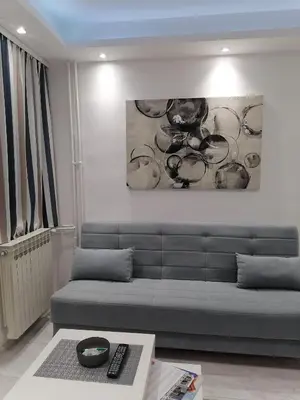 a living room with a couch and a painting on the wall at DIV Bor in Bor