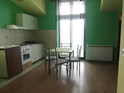 a kitchen with green walls and a table and chairs at Apartments Hadži in Soko Banja