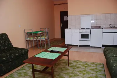 a living room with a table and a kitchen at Apartments Hadži in Soko Banja
