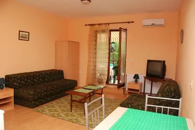 a living room with a couch and a tv at Apartments Hadži in Soko Banja