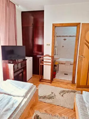 a room with a bed and a sink and a mirror at Vila Grinka M in Zaječar
