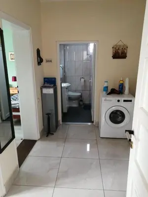 a bathroom with a washing machine and a toilet at Kuća Jovanka in Zaječar