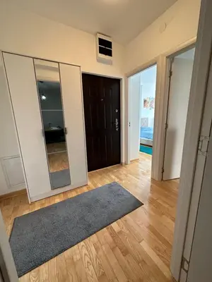 a living room with a large mirror and a rug at Nis Apartment in Niš