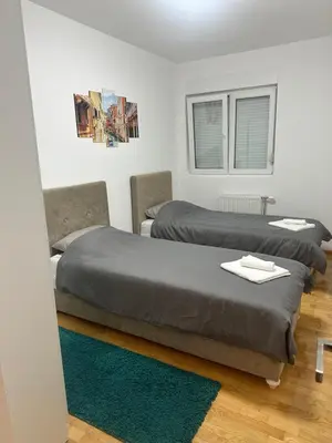 a bedroom with two beds and a green rug at Nis Apartment in Niš