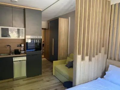 a kitchen and a living room with a bed and a couch at Lana Lux Milmari Resort in Kopaonik
