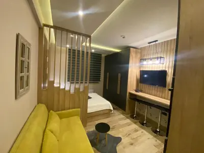 a room with a couch and a bed and a television at Lana Lux Milmari Resort in Kopaonik
