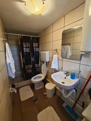 a bathroom with a toilet and a sink at Vikendica Ristic in Knjazevac.