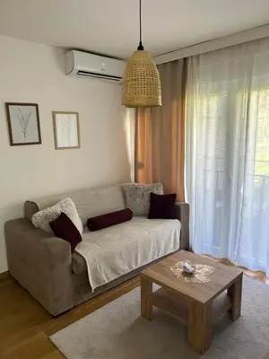 a living room with a couch and a coffee table at Woody apartman in Vrnjačka Banja