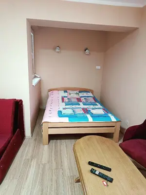 a small room with a bed and a table at Apartman Putnik in Vrnjačka Banja
