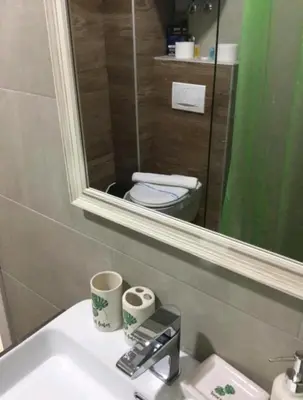 a bathroom with a sink with a mirror and a toilet at Milmari M3A in Kopaonik