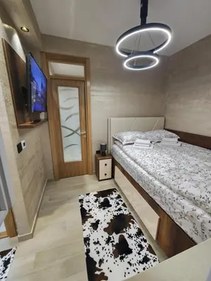 a room with a bed and a tv and a rug at Ebra 76 Kraljevi Cardaci Kopaonik in Kopaonik