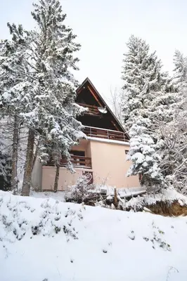 a house covered in snow in front of trees at Cabin & Apartment Kopaonik in Kopaonik