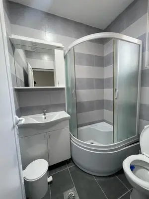 a bathroom with a shower and a sink and a toilet at Vile Jana in Leskovac