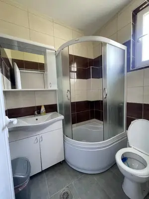 a bathroom with a shower and a toilet and a sink at Vile Jana in Leskovac