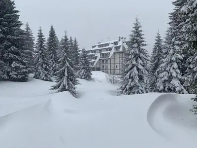a building in the middle of a snow covered forest at ZIMSKI Apartmani in Kopaonik