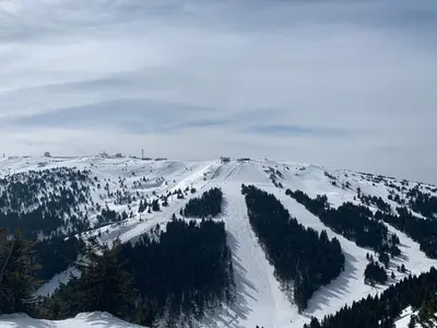 a mountain covered in snow with trees on it at ZIMSKI Apartmani in Kopaonik