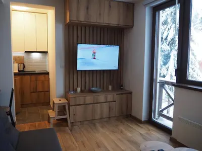 a living room with a flat screen tv on a wall at Apartman Duda in Kopaonik